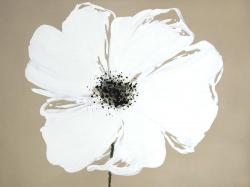 Abstract color splash petals flower