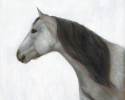 Winter horse