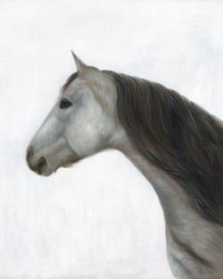 Winter horse