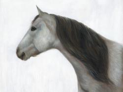 Winter horse