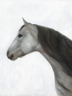 Winter horse