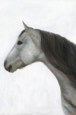 Winter horse