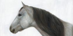 Winter horse