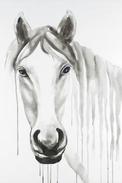 Solitary white horse