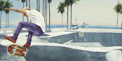Planchodrome californie