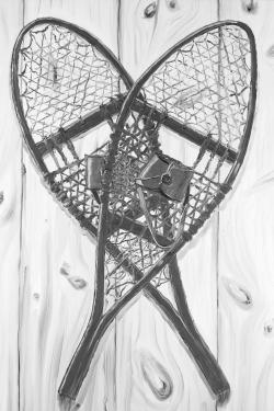 Vintage monochrome wood snowshoes