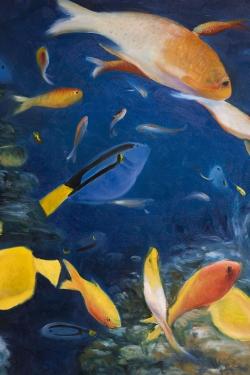 Poissons colorés sous l'océan