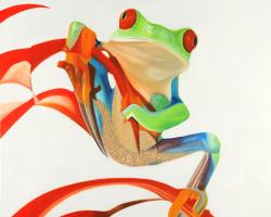 Red-eyed frog