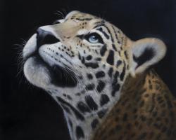Realistic leopard face