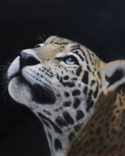 Realistic leopard face