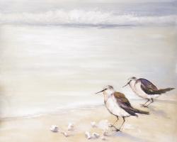 Two sandpipers on the beach