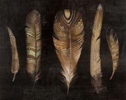 Ensemble de plumes brunes