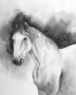 Domino le cheval