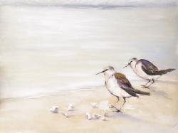 Two sandpipers on the beach
