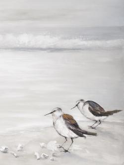 Deux oiseaux bécasseau