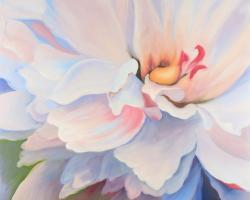 Pastel colored flower
