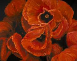 Poppy bouquet