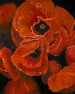 Poppy bouquet