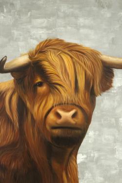 Highland cattle