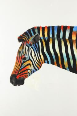 Colorful zebra