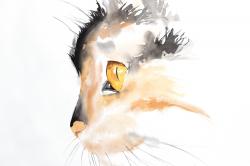 Profil d'un chat à l'aquarelle