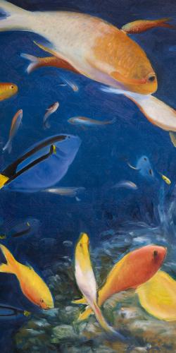 Poissons colorés sous l'océan