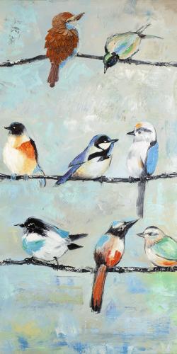 Small colorful birds