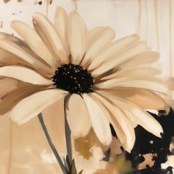 Belle marguerite