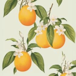 Suspended oranges