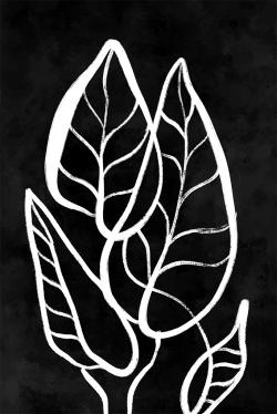 Feuilles minimalistes