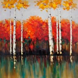 Bouleaux en automne