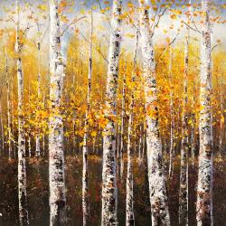 Birches by sunny day
