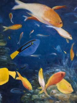 Poissons colorés sous l'océan