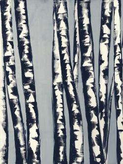 Abstract birch forest