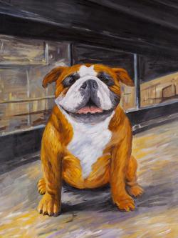 Bouledogue souriant