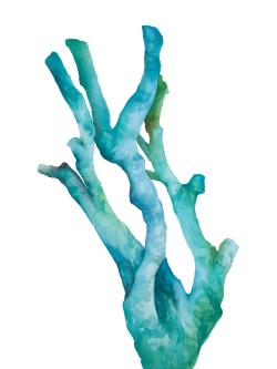 Small watercolor sea coral