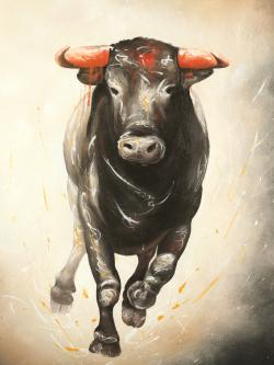Bull running