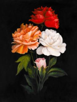 Three beautiful rose flowers
