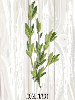 Rosemary on wood