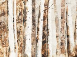 Trees of an asbtract forest