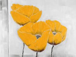 Three yellow flowers