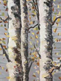 Blossoming birches