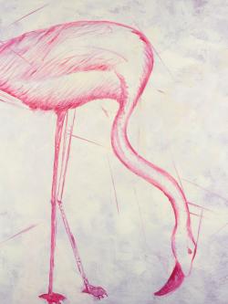 Esquisse de flamant rose