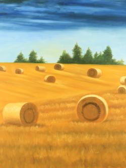 Paysage de la campagne