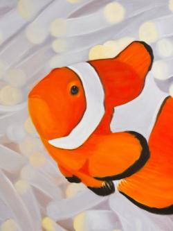 Poissons clown