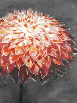 Abstract dahlia flower