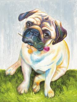 Cute pug with a rose in his mouth