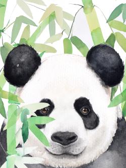 Hidden panda in bamboo
