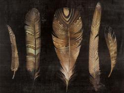 Ensemble de plumes brunes