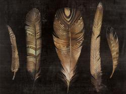 Brown feather set